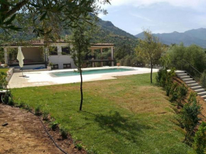 Villa con piscina tra le vigne del Cannonau Cardedu